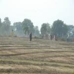 Vraj-Yatra-2014- (777)